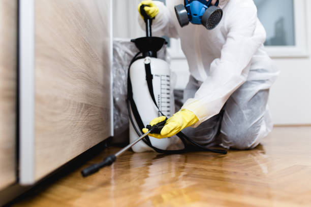 Best Pest Control for Homes  in Reiffton, PA
